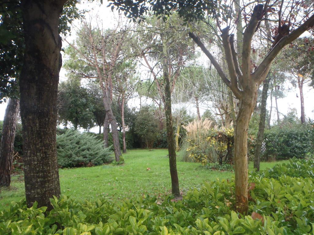 Airone Pisa Hotel Ristorante San Giuliano Terme Bagian luar foto